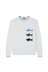 Jacquard cotton sweater with Sharks inlay