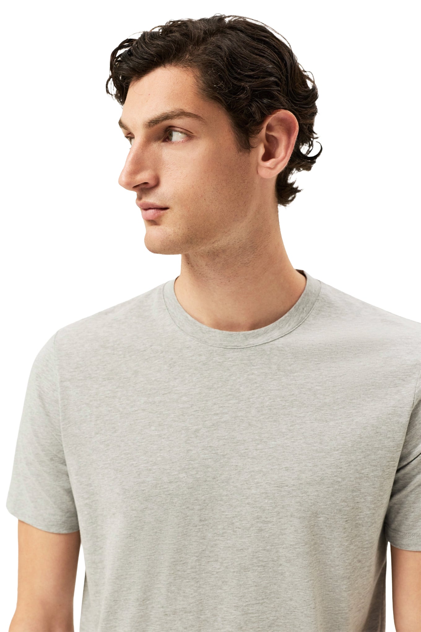 Liquid Cotton Jersey T Shirt With Flag Label