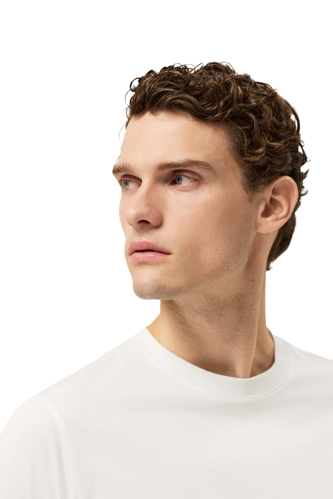 Liquid Cotton Jersey T Shirt With Flag Label