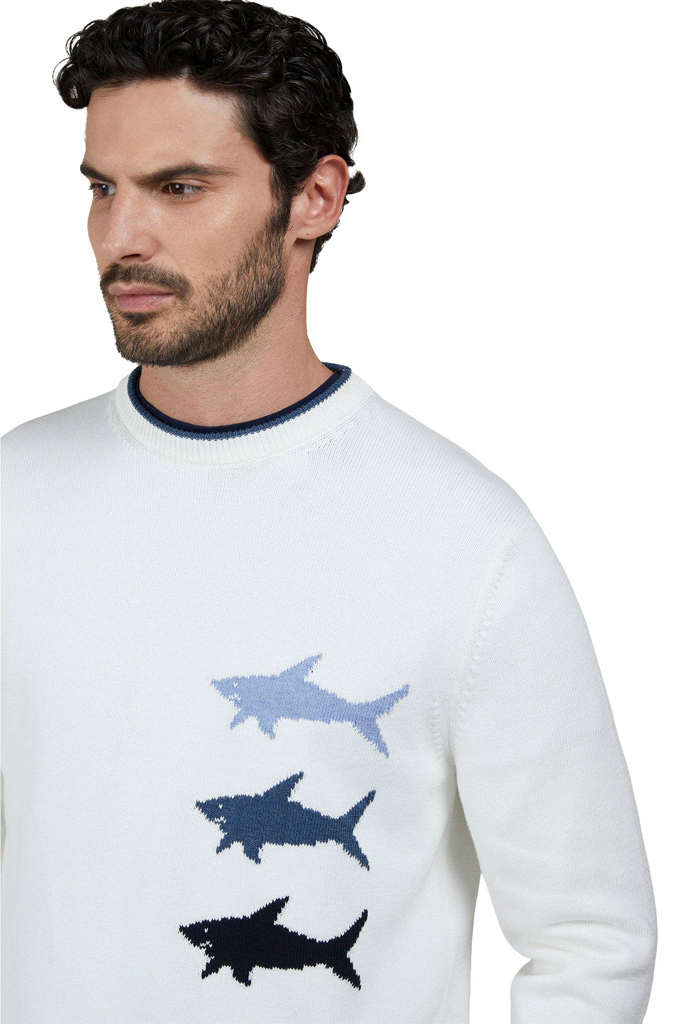 Jacquard cotton sweater with Sharks inlay