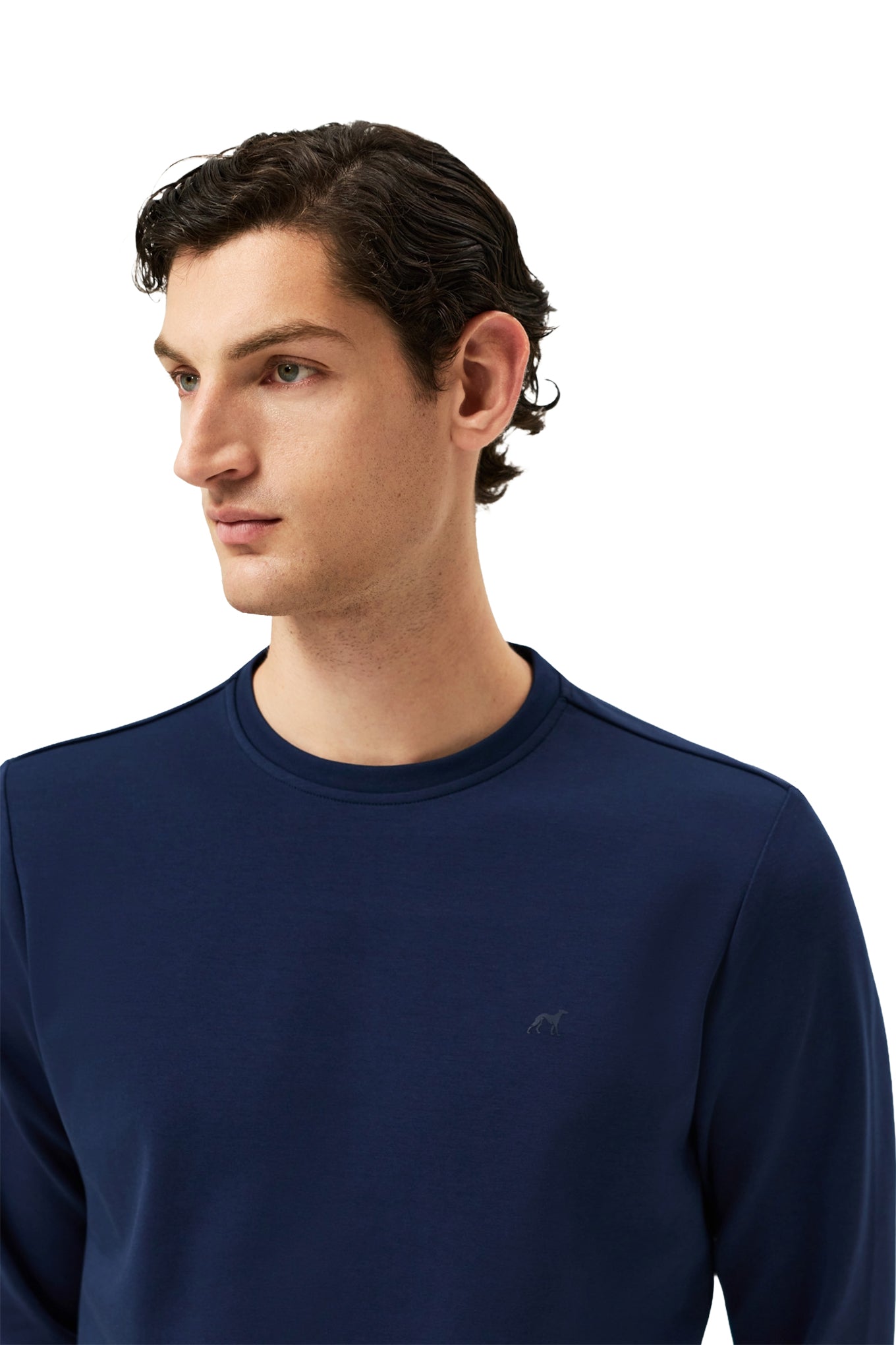 Cotton Fleece Crewneck Sweatshirt With Chest Logo Print