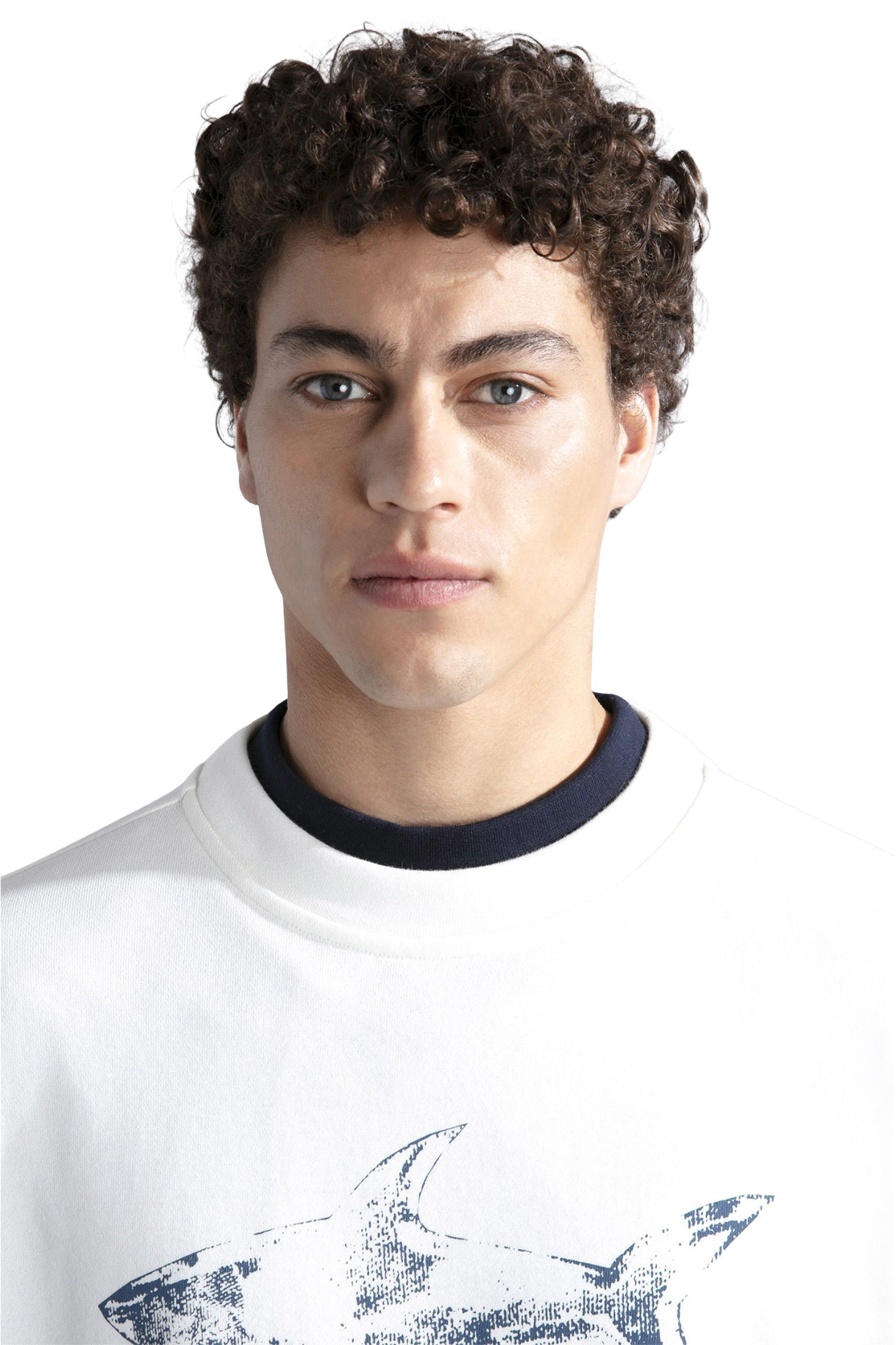Mens Cotton Sweatshirts