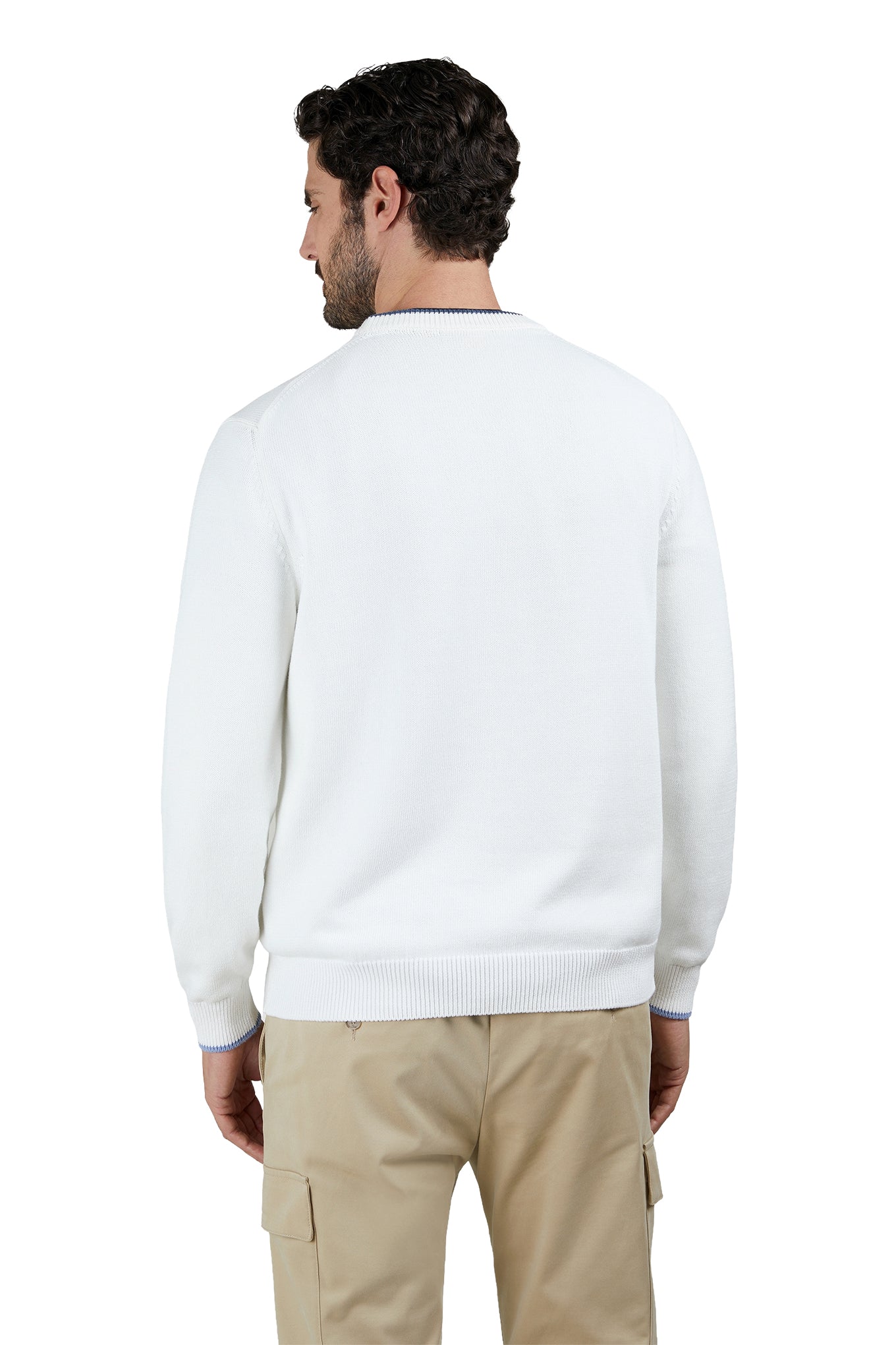 Jacquard cotton sweater with Sharks inlay