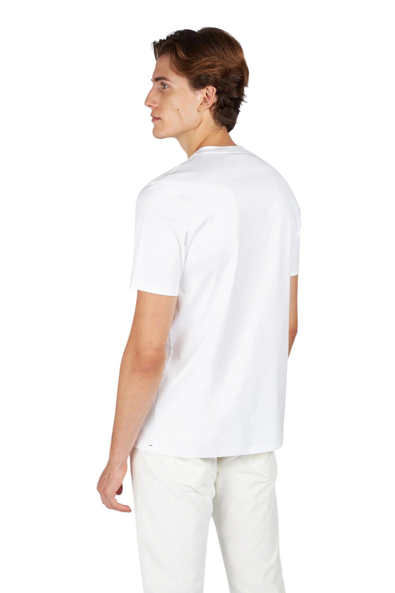 with 3 Sharks T Shirt